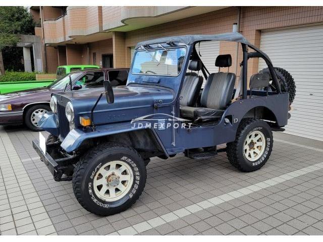 Mitsubishi Jeep 1990 thumbnail 8