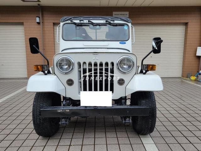 Mitsubishi Jeep 1995 thumbnail 10
