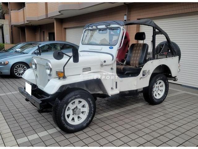 Mitsubishi Jeep 1995 thumbnail 8