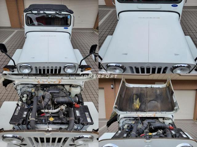 Mitsubishi Jeep 1995 thumbnail 11
