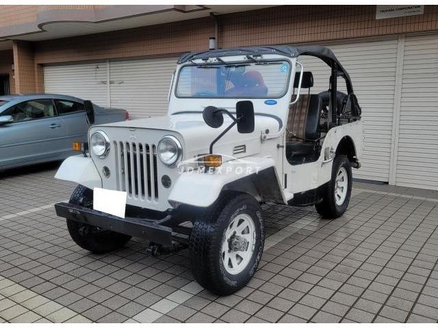 Mitsubishi Jeep 1995 thumbnail 9