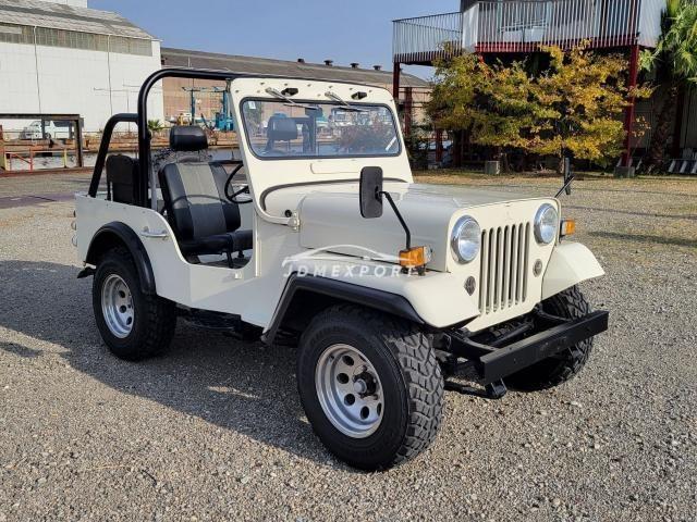 Mitsubishi Jeep 1981 thumbnail 3