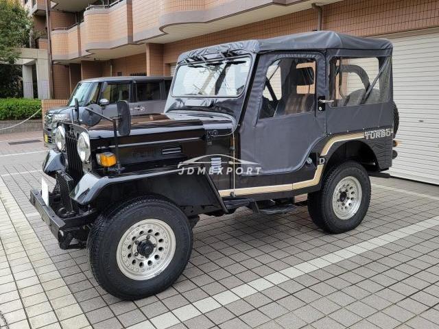 Mitsubishi Jeep 1996 thumbnail 8
