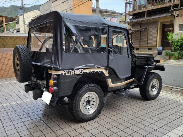 Mitsubishi Jeep 1996 thumbnail 4