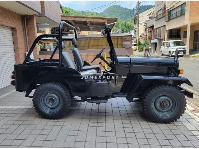 Mitsubishi Jeep 1995 thumbnail 3