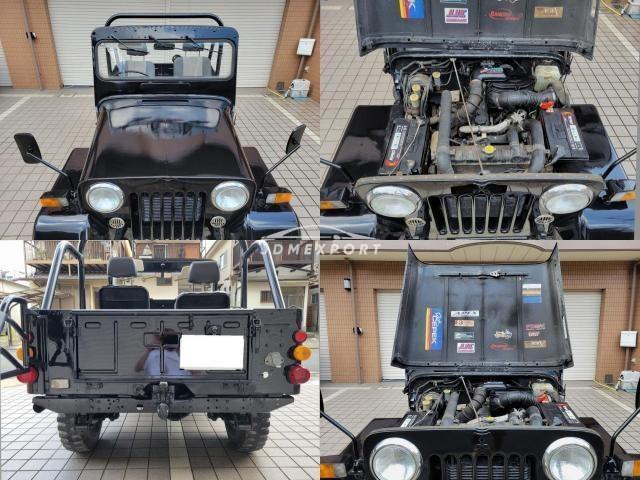 Mitsubishi Jeep 1995 thumbnail 11