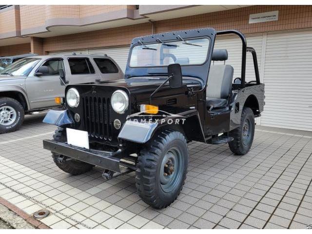 Mitsubishi Jeep 1995 thumbnail 9