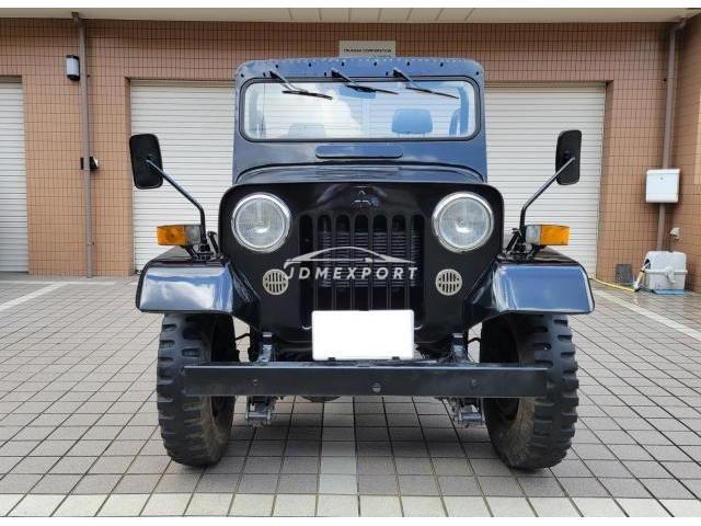 Mitsubishi Jeep 1995 thumbnail 10