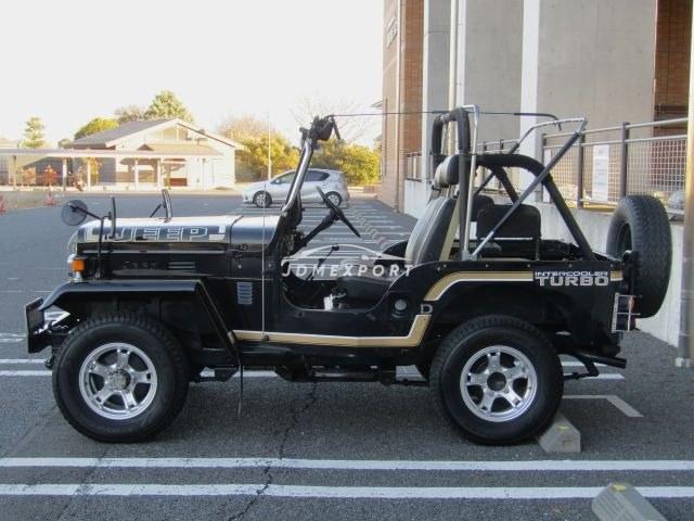 Mitsubishi Jeep 1995 thumbnail 10