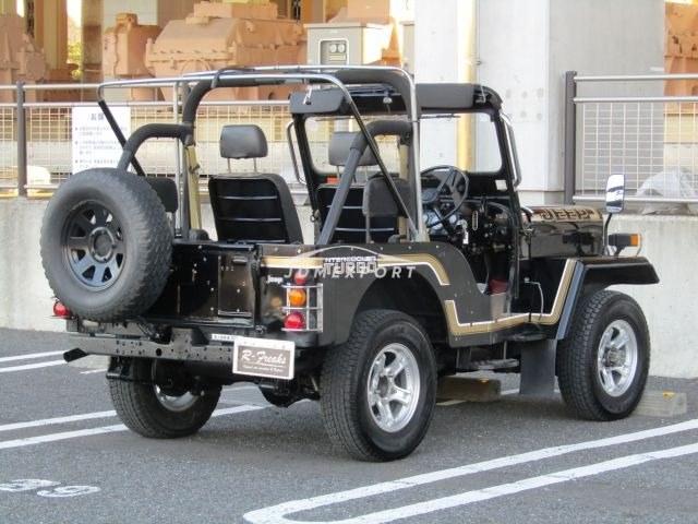 Mitsubishi Jeep 1995 thumbnail 4