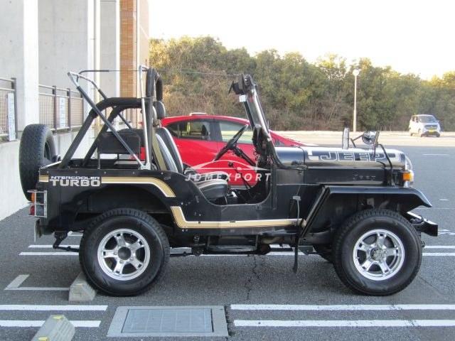Mitsubishi Jeep 1995 thumbnail 9