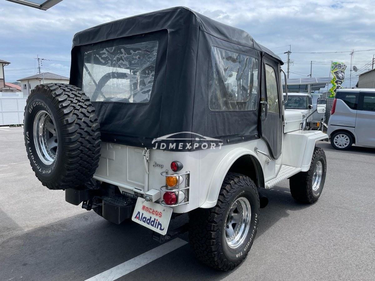 Mitsubishi Jeep 1996 thumbnail 4