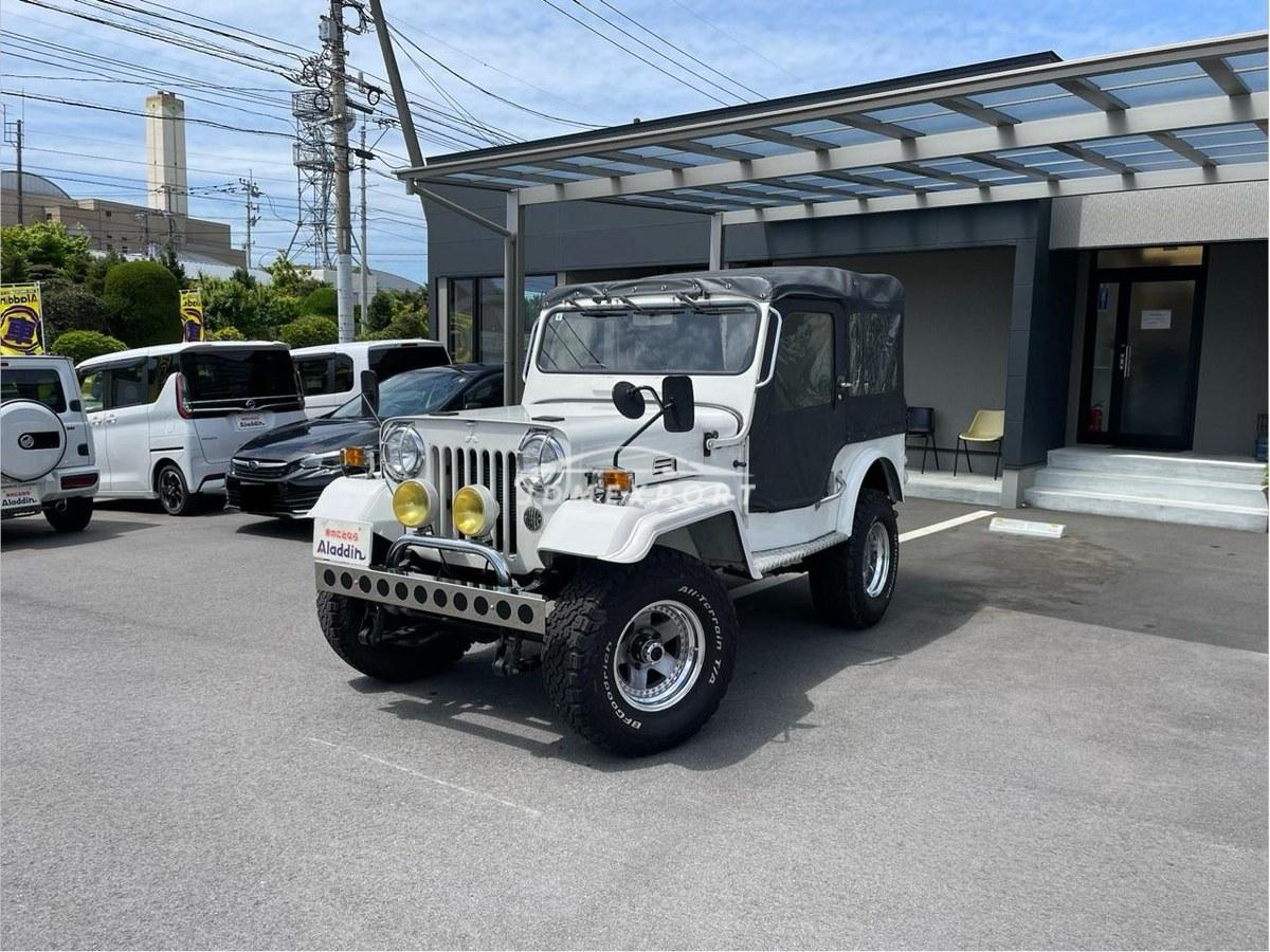 Mitsubishi Jeep 1996 thumbnail 20