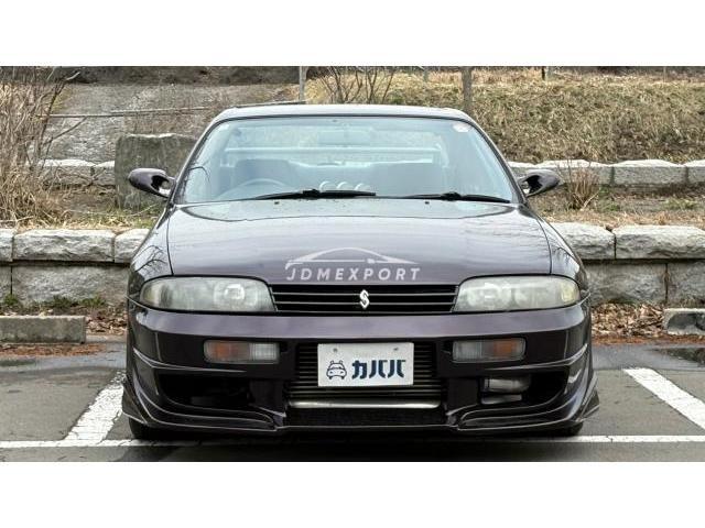 Nissan Skyline 1995 thumbnail 2