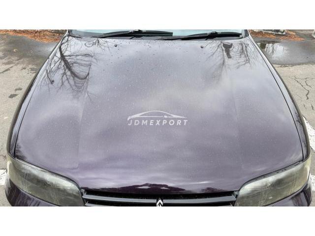 Nissan Skyline 1995 thumbnail 19