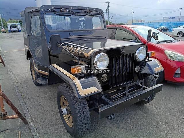 Mitsubishi Jeep 1997 thumbnail 4