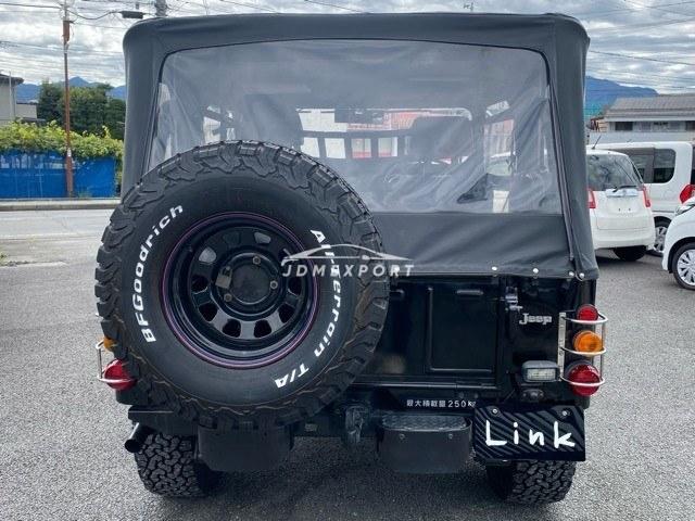Mitsubishi Jeep 1994 thumbnail 6