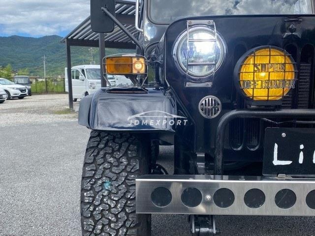 Mitsubishi Jeep 1994 thumbnail 24